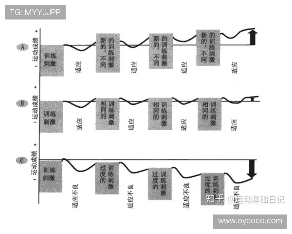 全面提升竞技水平的排球专项体能训练方法与科学化发展研究